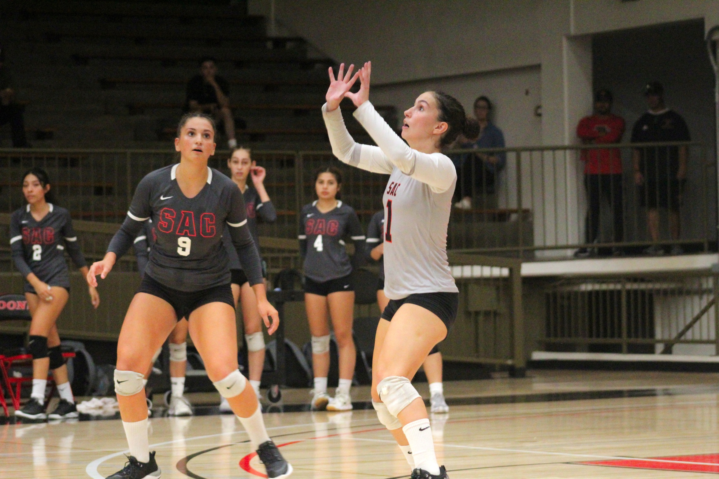 Dons Volleyball Splits Home Stand