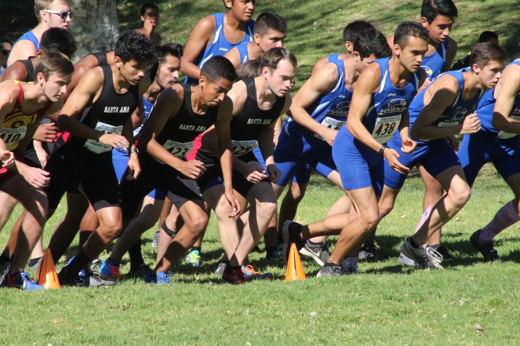 Santa Ana Cross Country Showcases New Group in Mark Covert Classic